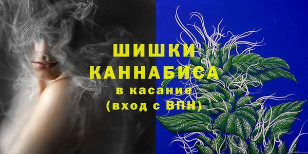 PSILOCYBIN Беломорск