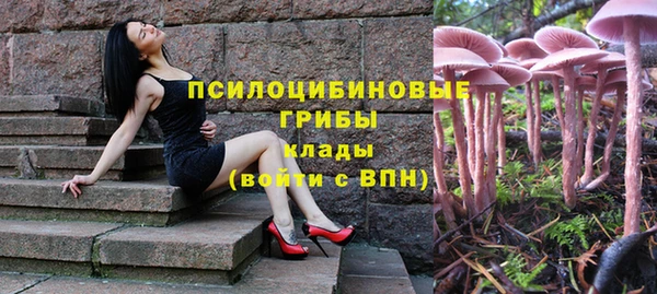 PSILOCYBIN Беломорск
