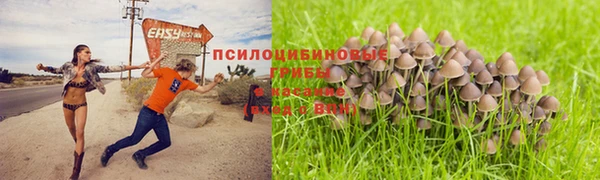 mdma Белокуриха